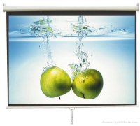 Pantalla trasera 155x160cm