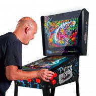 Pinball Virtual 18.5" Playfield 15" backglass, AMD Ryzen 5